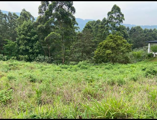 LAND FOR SALE IN MONTROSE
